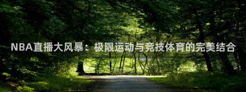 NBA直播大风暴：极限运动与竞技体育的完美结合