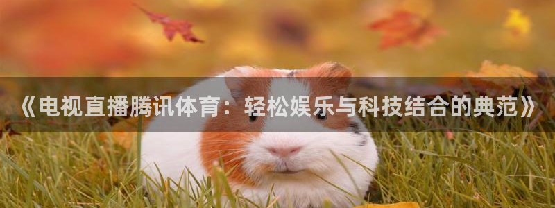 《电视直播腾讯体育：轻松娱乐与科技结合的典范》