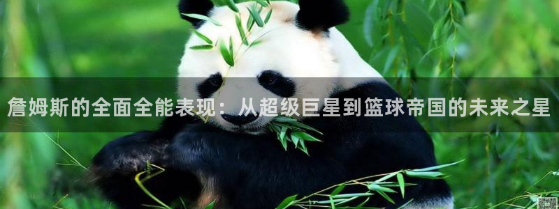 詹姆斯的全面全能表现：从超级巨星到篮球帝国的未来之星
