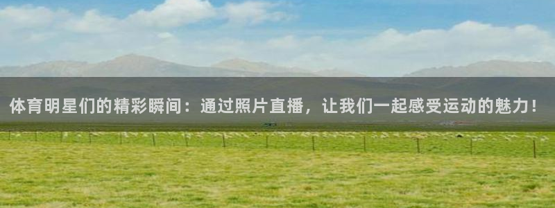 体育明星们的精彩瞬间：通过照片直播，让我们一起感受运动的魅力！